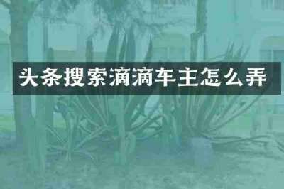 头条搜索滴滴车主怎么弄
