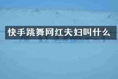 快手跳舞网红夫妇叫什么