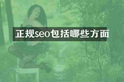 正规seo包括哪些方面