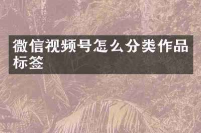 微信视频号怎么分类作品标签