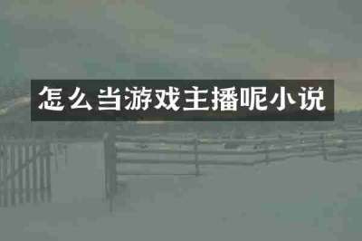怎么当游戏主播呢小说