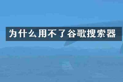 为什么用不了谷歌搜索器