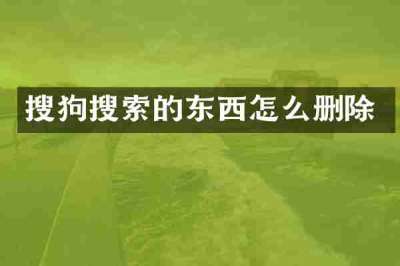 搜狗搜索的东西怎么删除