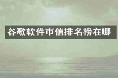谷歌软件市值排名榜在哪