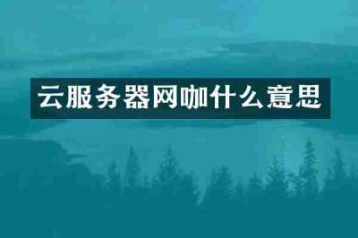 云服务器网咖什么意思