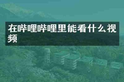 在哔哩哔哩里能看什么视频