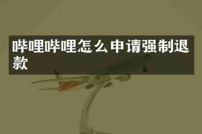 哔哩哔哩怎么申请强制退款