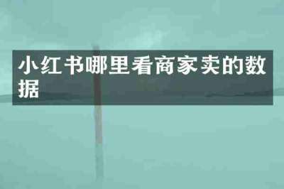 小红书哪里看商家卖的数据