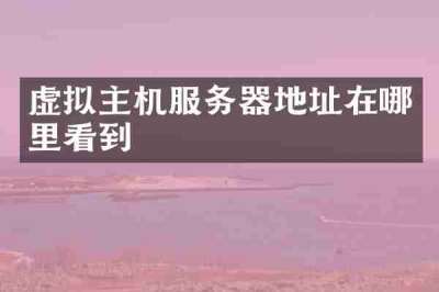 虚拟主机服务器地址在哪里看到