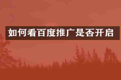 如何看百度推广是否开启