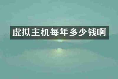 虚拟主机每年多少钱啊