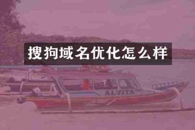 搜狗域名优化怎么样