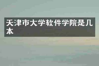 天津市大学软件学院是几本