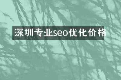深圳专业seo优化价格