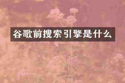 谷歌前搜索引擎是什么