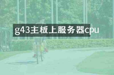 g43主板上服务器cpu