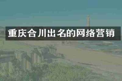 重庆合川出名的网络营销