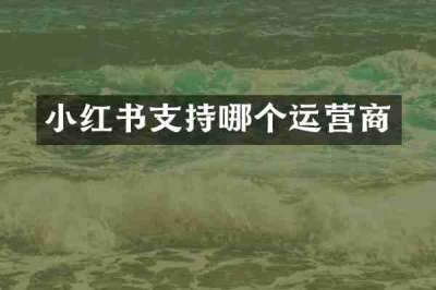小红书支持哪个运营商