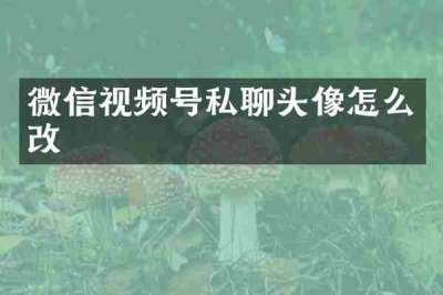 微信视频号私聊头像怎么改