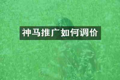 神马推广如何调价