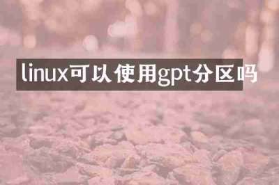 linux可以使用gpt分区吗