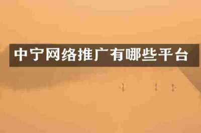 中宁网络推广有哪些平台