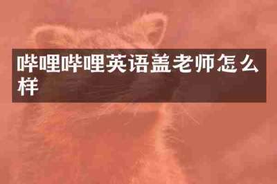哔哩哔哩英语盖老师怎么样