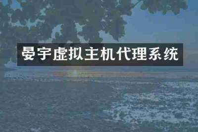 晏宇虚拟主机代理系统