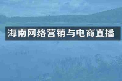 海南网络营销与电商直播