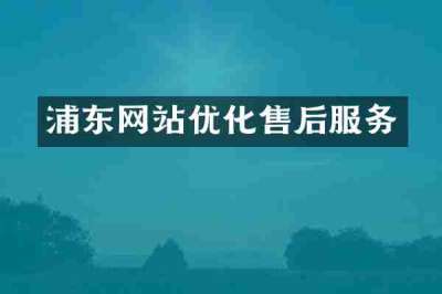 浦东网站优化售后服务