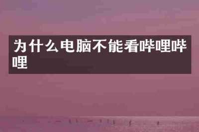 为什么电脑不能看哔哩哔哩