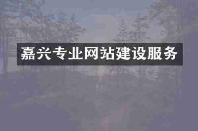 嘉兴专业网站建设服务
