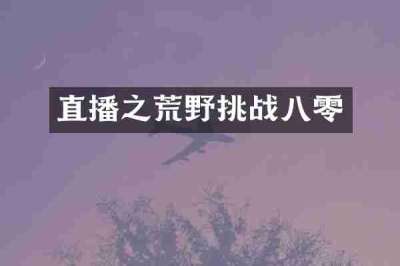 直播之荒野挑战八零