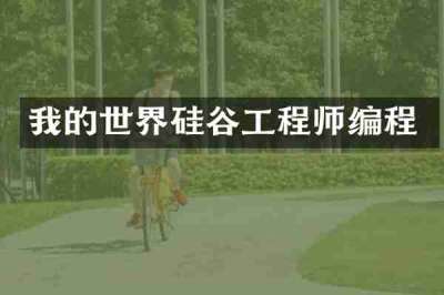 我的世界硅谷工程师编程