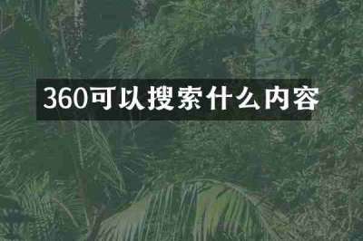 360可以搜索什么内容