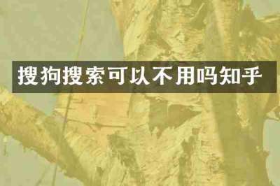 搜狗搜索可以不用吗知乎