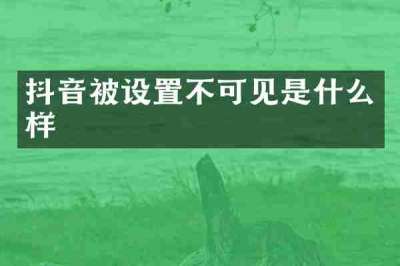 抖音被设置不可见是什么样