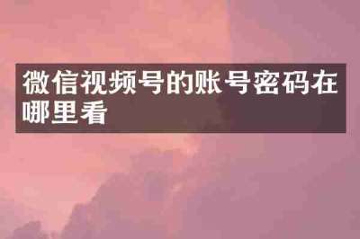 微信视频号的账号密码在哪里看