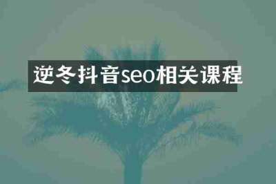 逆冬抖音seo相关课程