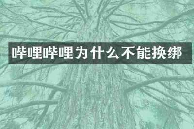 哔哩哔哩为什么不能换绑