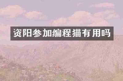 资阳参加编程猫有用吗