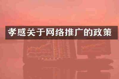 孝感关于网络推广的政策