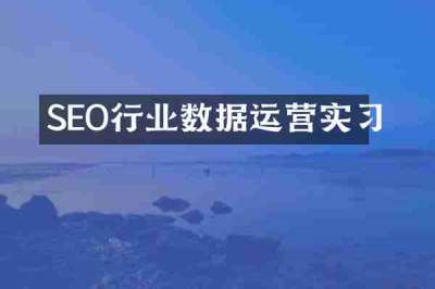 SEO行业数据运营实习
