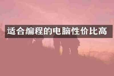 适合编程的电脑性价比高