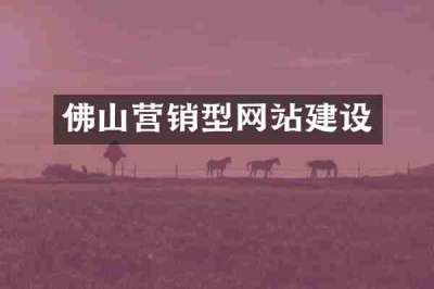 佛山营销型网站建设