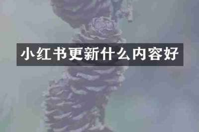 小红书更新什么内容好