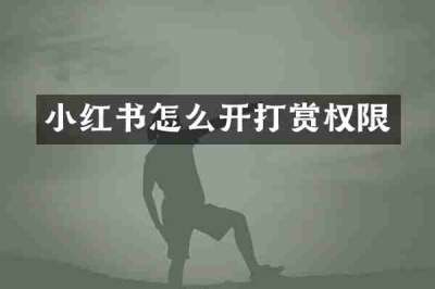 小红书怎么开打赏权限