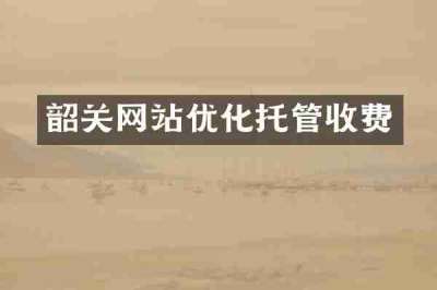 韶关网站优化托管收费
