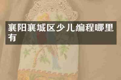 襄阳襄城区少儿编程哪里有