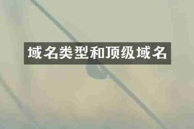 域名类型和顶级域名